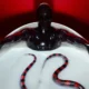 American Horror Story renewed for Season 14 by FX, featuring the horror anthology series cast.