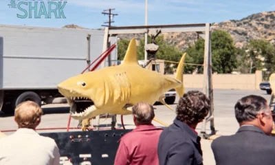 Behind-the-scenes image from the original 'Jaws' film featuring the unpainted mechanical shark mold, featured in 'The Farmer & The Shark' documentary directed by John Campopiano.