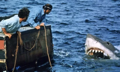 Mike Flanagan wants to direct a new Jaws movie based on Steven Spielberg's classic shark horror film