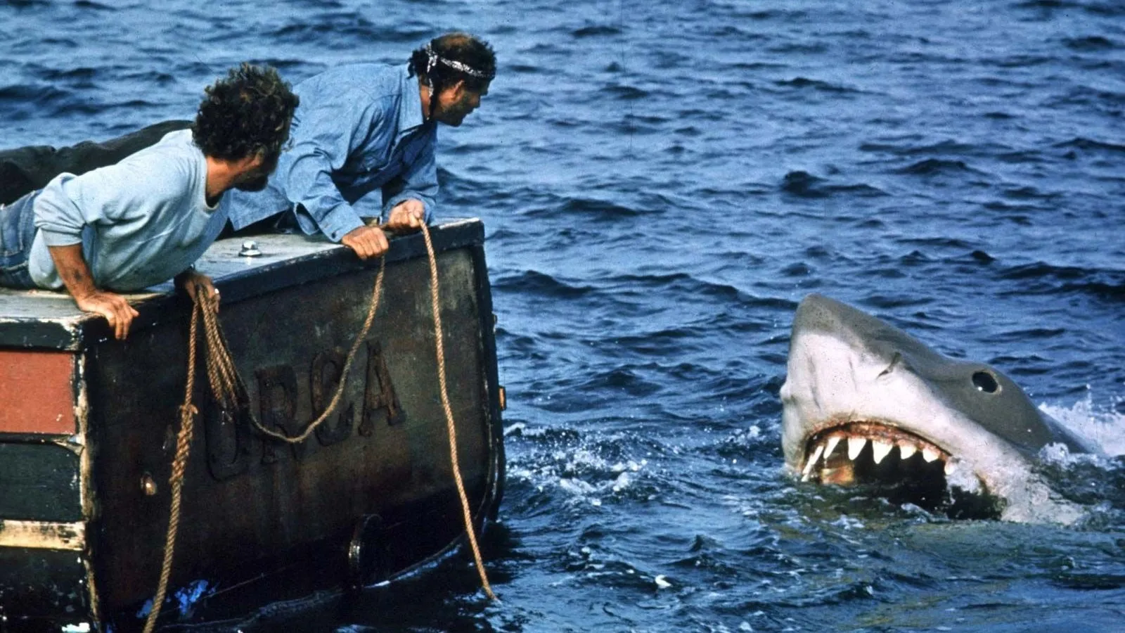 Mike Flanagan wants to direct a new Jaws movie based on Steven Spielberg's classic shark horror film