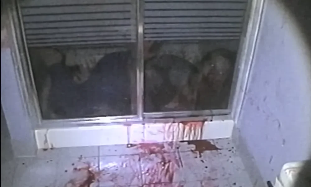 A Special Day, a found footage horror short by Dennis Cahlo filmed entirely on VHS-C tape.