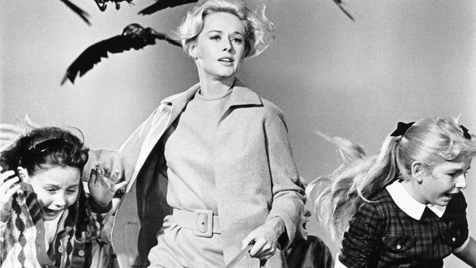 Sarah Snook stars as Myra Massey in HBO's developing limited series adaptation of Alfred Hitchcock's The Birds.